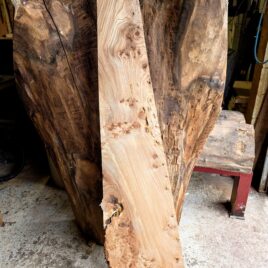 Elm Live Edge Slab