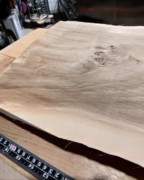 Poplar Burl Wood Blank