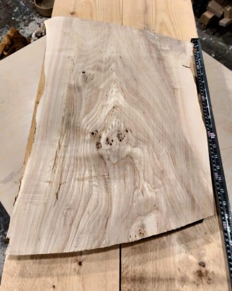 Poplar Burl Wood Blank