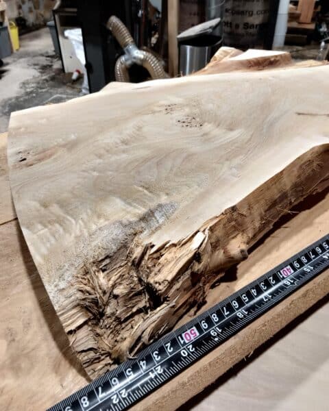 Poplar Burl Wood Blank
