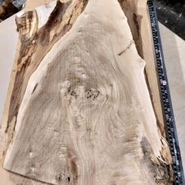 Poplar Burl Woodworking Blank