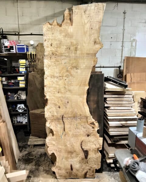Poplar Burl Slab