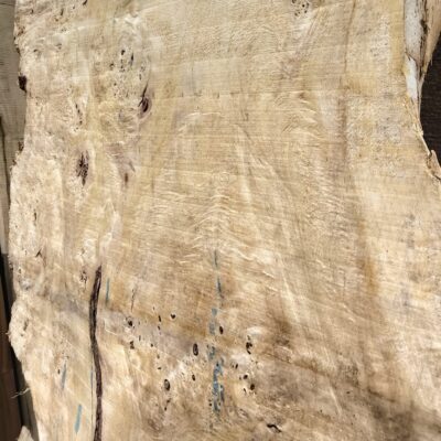 Back, middle, detail