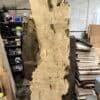 Poplar Burl Slab