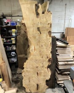 Poplar Burl Slab