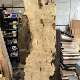 Poplar Burl Slab