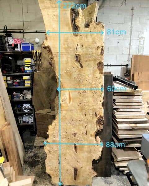 Poplar Burl Slab