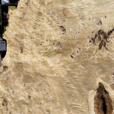 Front, lower middle, detail