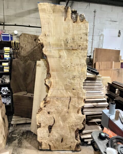 Poplar Burl Slab