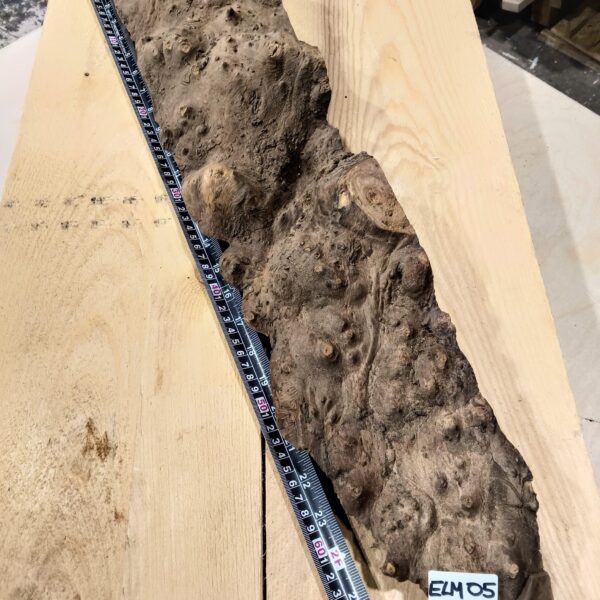 Burr Elm Live Edge Resin Casting Wood Blanks