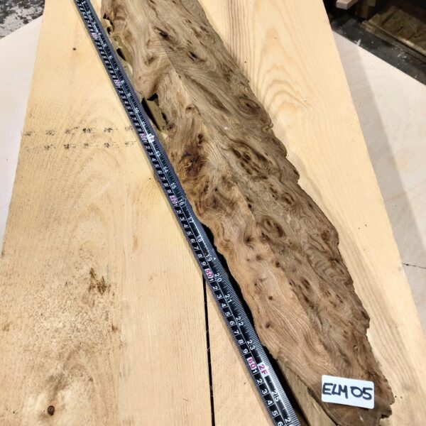 Burr Elm Live Edge Resin Casting Wood Blanks