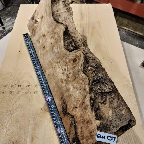 Burr Elm Live Edge Resin Casting Wood Blanks