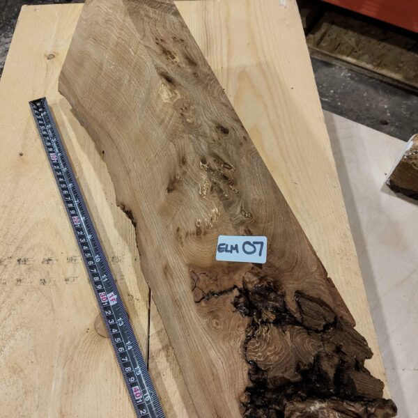 Burr Elm Live Edge Resin Casting Wood Blanks