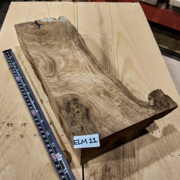 Burr Elm Live Edge Resin Casting Wood Blanks