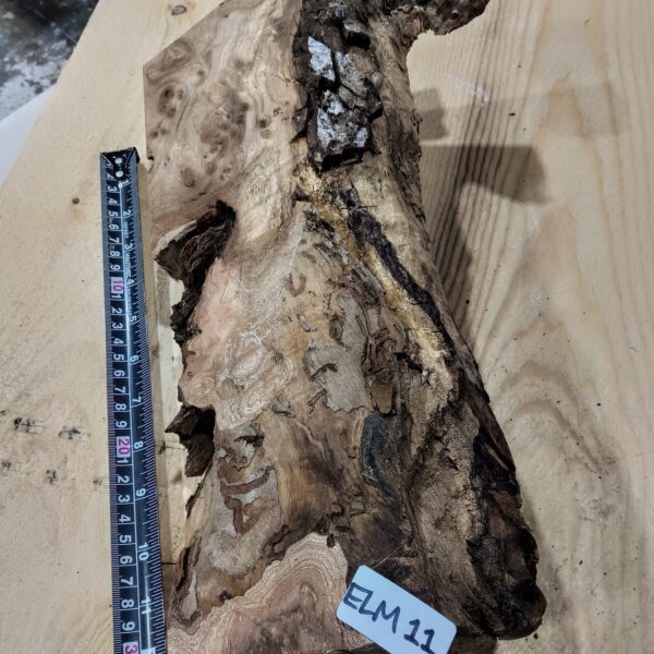 Burr Elm Live Edge Resin Casting Wood Blanks
