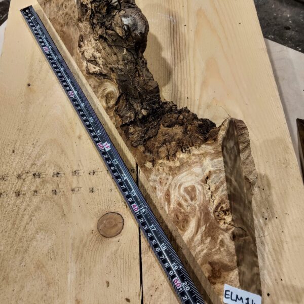Burr Elm Live Edge Resin Casting Wood Blanks