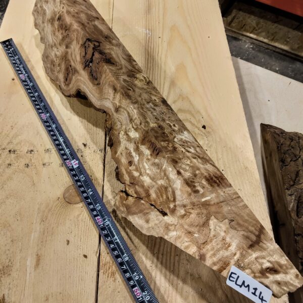 Burr Elm Live Edge Resin Casting Wood Blanks
