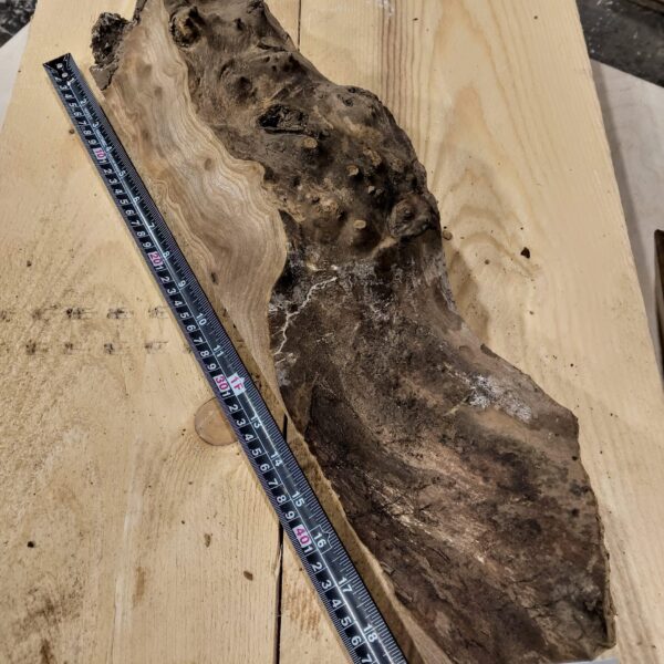 Burr Elm Live Edge Resin Casting Wood Blanks