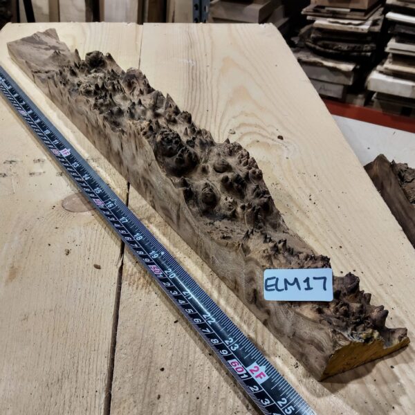 Burr Elm Live Edge Resin Casting Wood Blanks