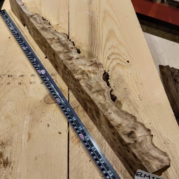 Burr Elm Live Edge Resin Casting Wood Blanks