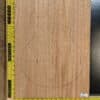 Mahogany Guitar Body Blank 2 Piece