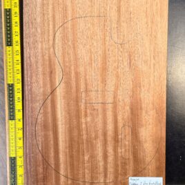 Mahogany one piece electric guitar body blank